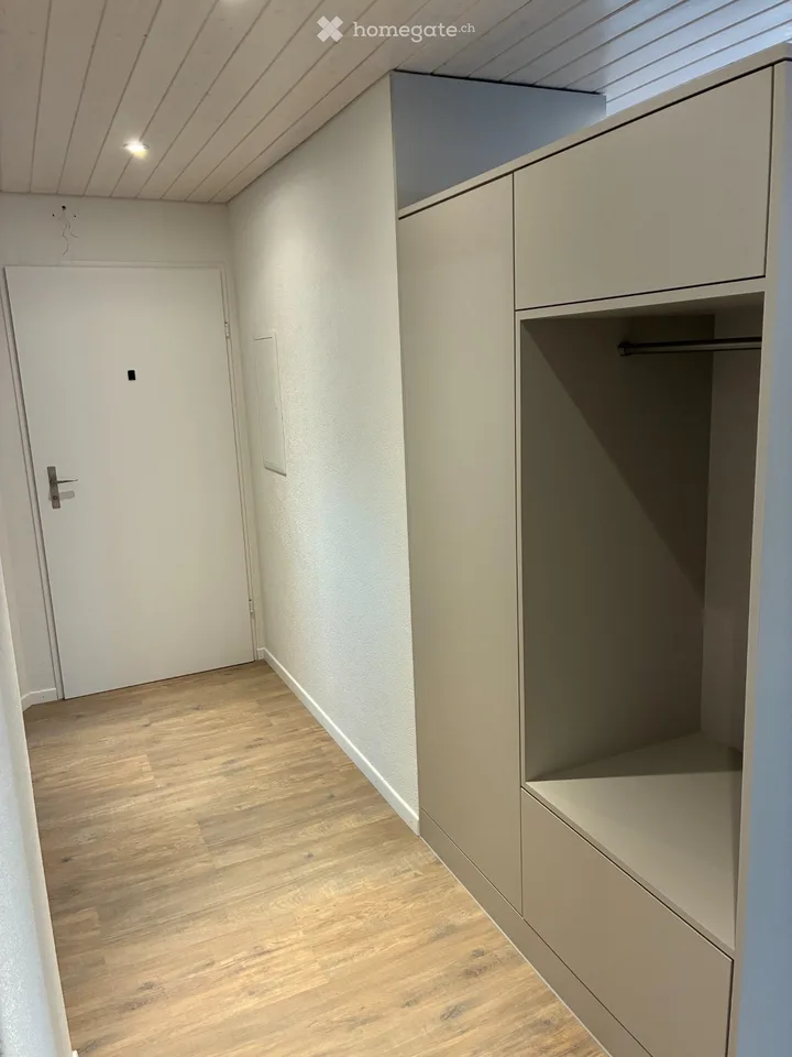 Newly renovated 3.5 room apartment