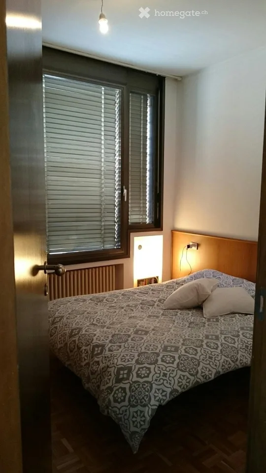 Lugano-Cassarate, 2-Zimmer-Wohnung, möbliert oder unmöbliert