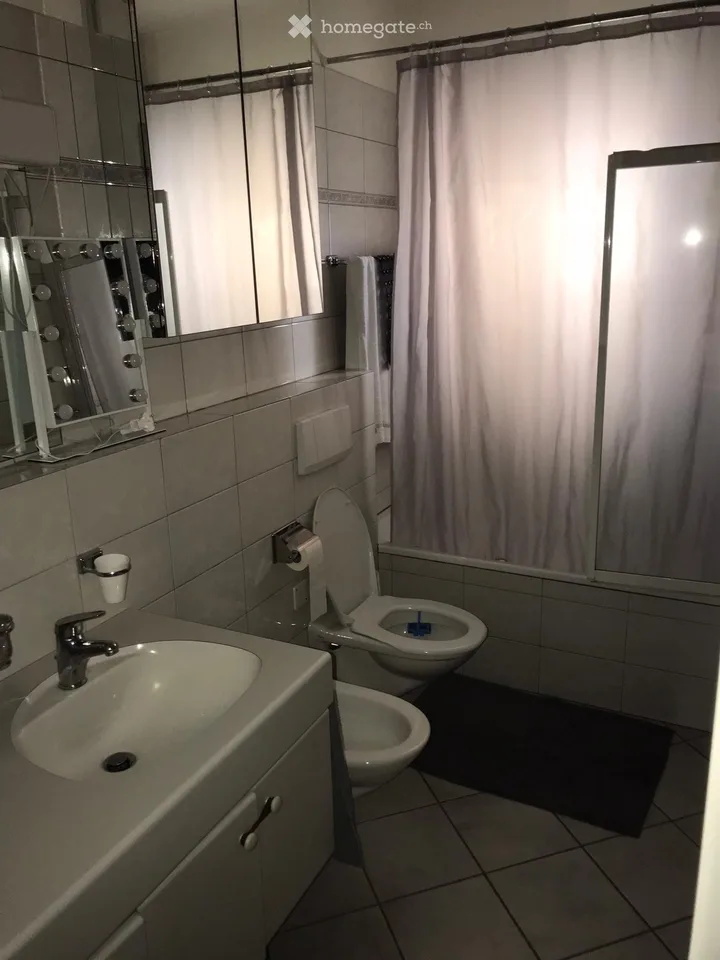 AFFITTASI APPARTAMENTO 3.5 LOCALI  LUGANO