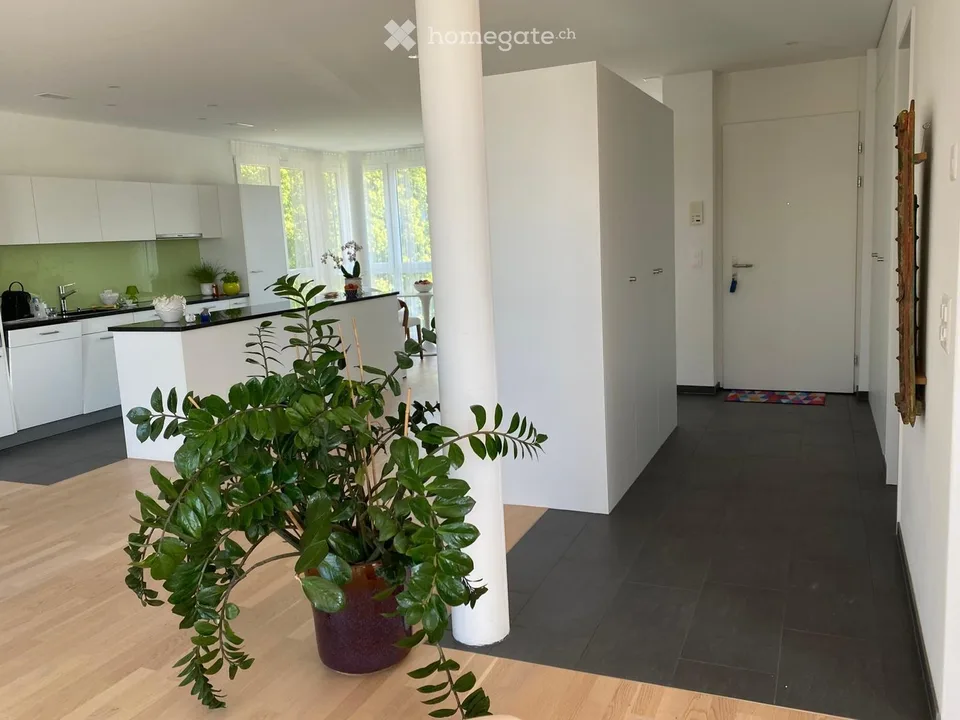 Moderne und grosszügige Attikawohnung auf der Breite in Schaffhausen