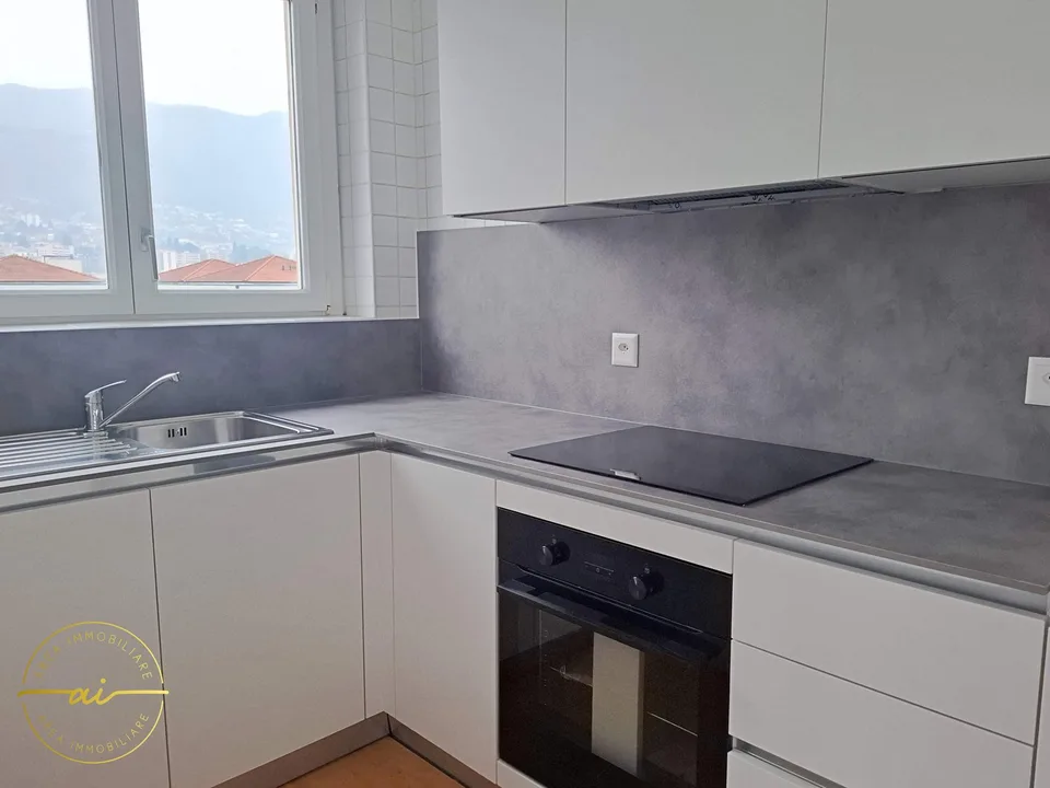 Appartement de 4,5 pièces meublé dans le quartier de Palapenz