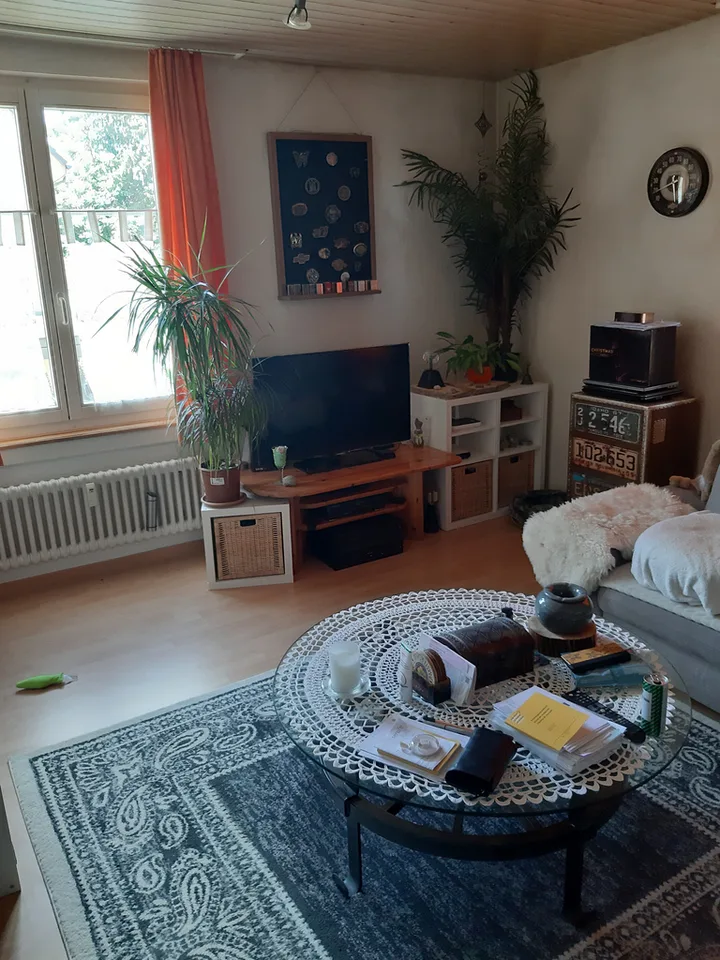 Appartamento accogliente di 3,5 locali a Neuhausen am Rheinfall