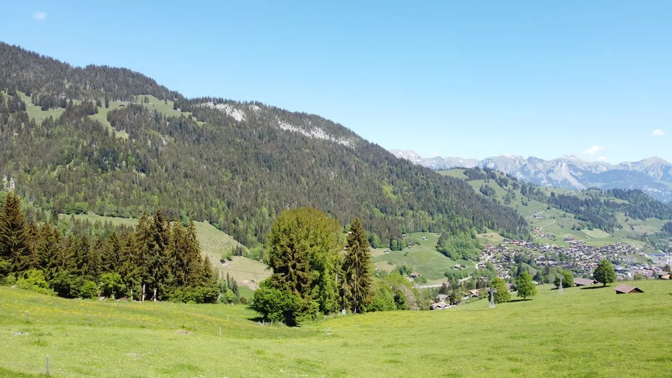 Fantastisches Baulandgrundstück 990 m2 für Neubau von Einzel- oder Doppelgebäude – Foto 6 von 16