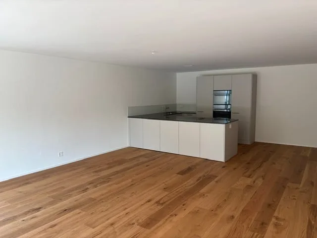 Appartamento in condominio moderno di 2,5 locali in una nuova costruzione