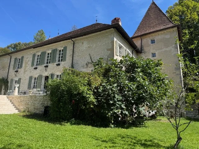 Nella Francia vicina - a un'ora da Ginevra. In vendita: un magnifico castello-