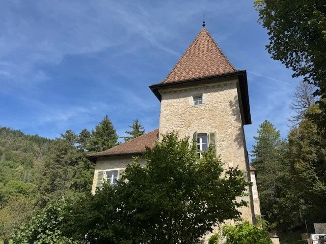 En France voisine -  à une heure de Genève .A vendre magnifique château-