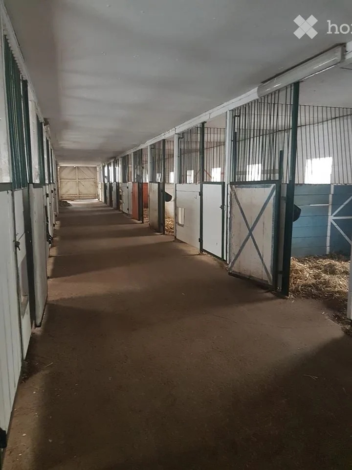 Einzigartige Pferderanch mit vielseitigem Nutzungspotential