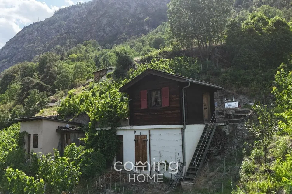 Vigneto con casa vinicola a Stalden - Viticoltura nella Val Vispa – foto 6 di 10