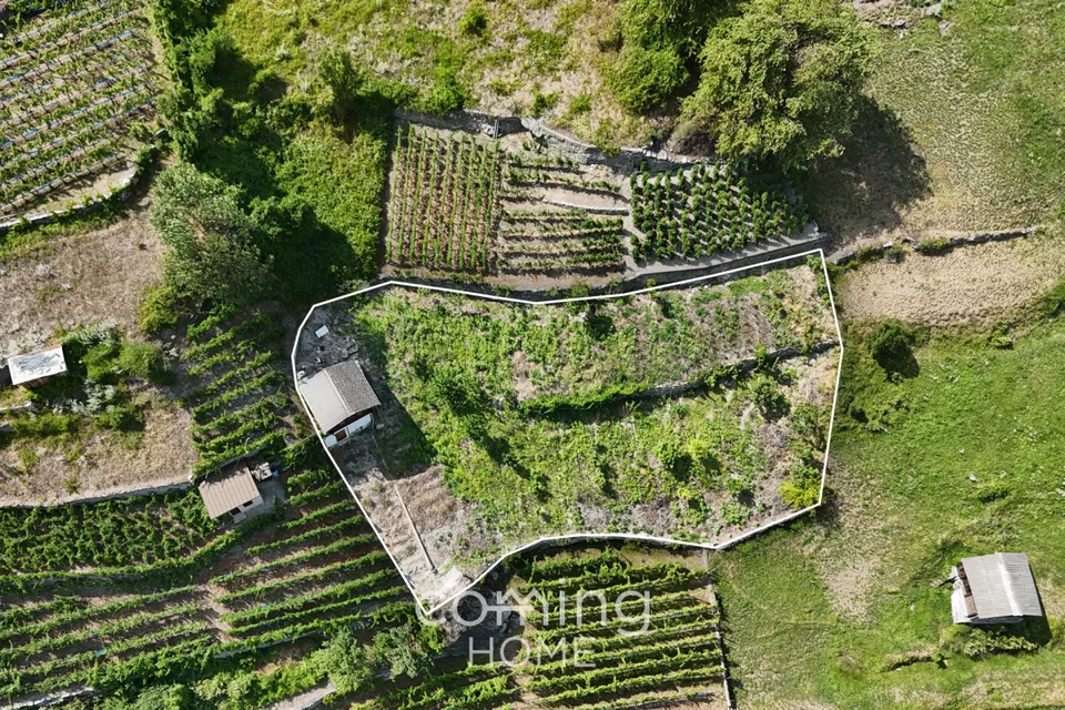 Rebparzelle mit Rebhaus in Stalden - Weinbau im Vispertal