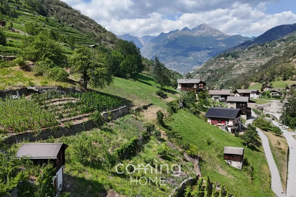 Vigneto con casa vinicola a Stalden - Viticoltura nella Val Vispa – foto 7 di 10