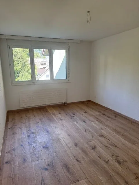 Charmante, komplett sanierte 3.5-Zimmerwohnung mit idealer Raumaufteilung