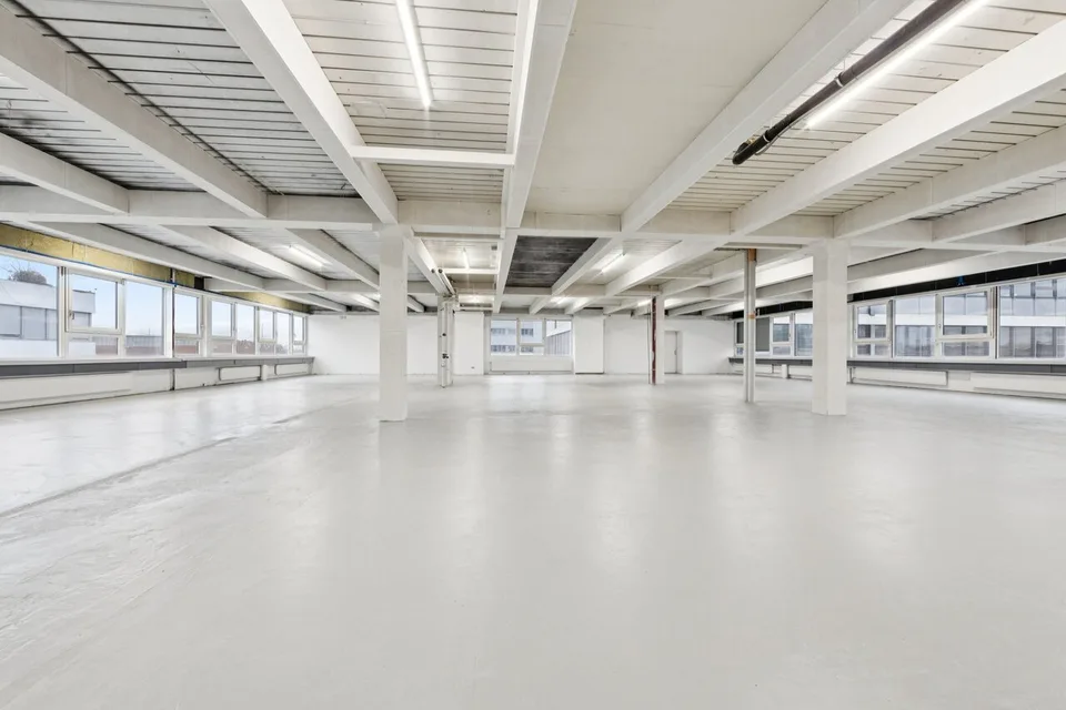Spazio commerciale o studio con ufficio e area di produzione – foto 7 di 12