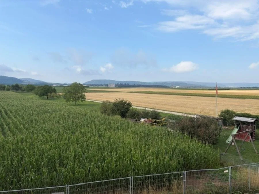 BLICK INS GRÜNE!