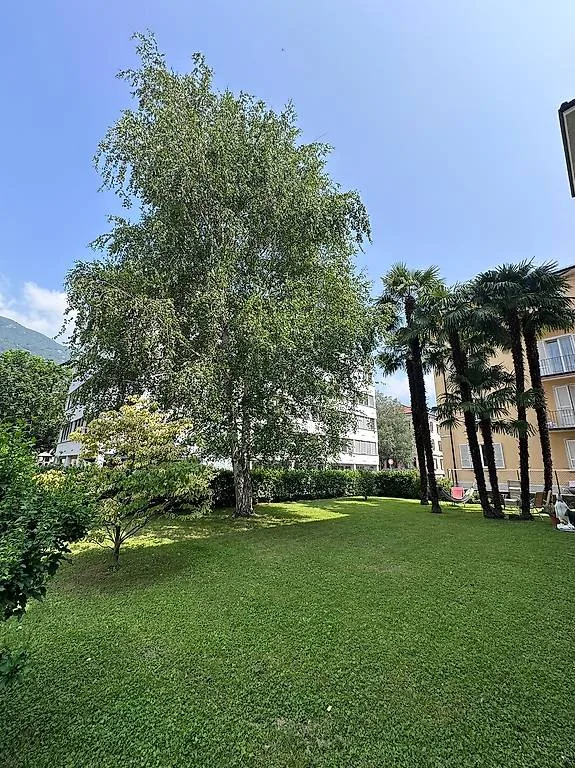5,5 Lokale Bellinzona Quartier San Giovanni