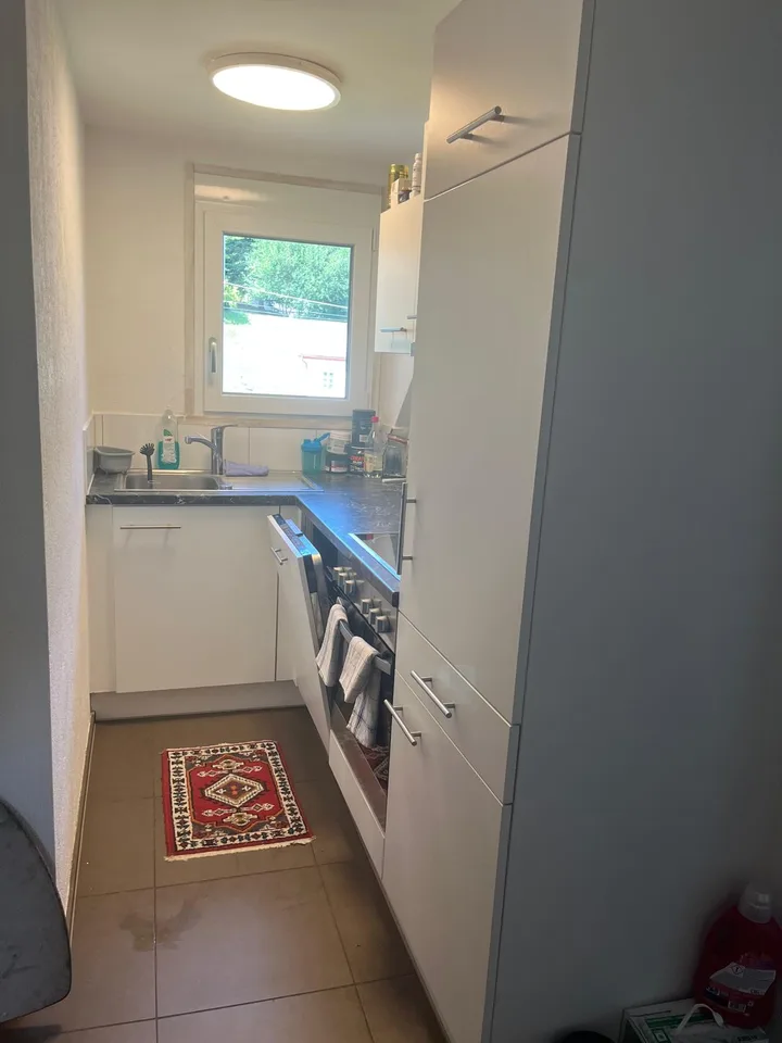 Gemütliche 3 1/2 Zi.-Wohnung neben dem Bach