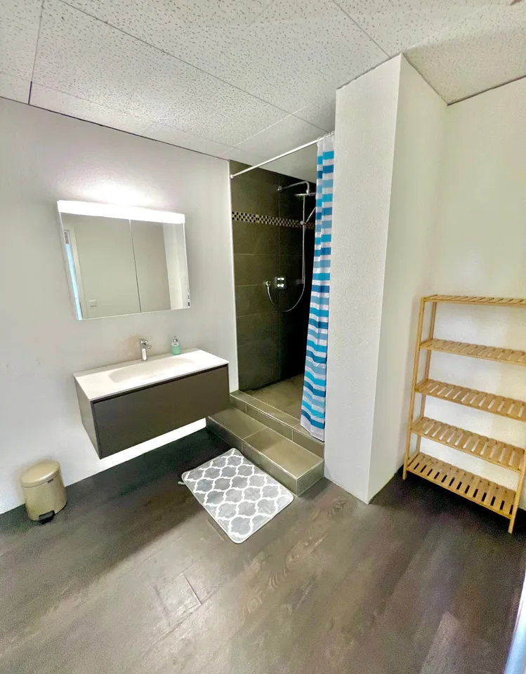 Sehr grosses Zimmer in moderner Wohnung :)