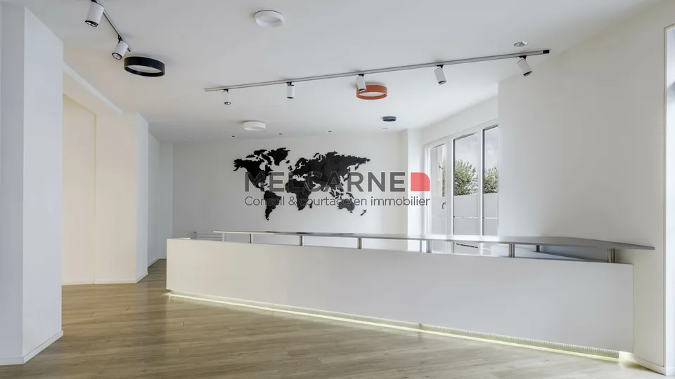 Surface d'environ 1'350 m2 à louer en plein coeur de Genève