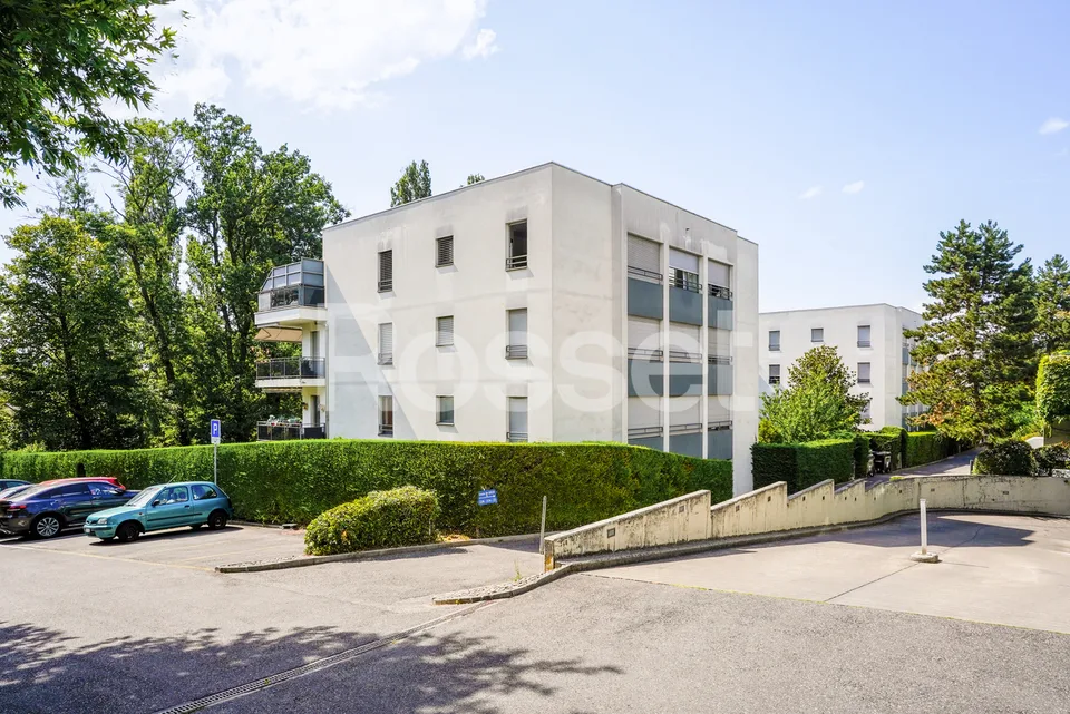 En Exclusivité : Appartement 4 pièces avec terrasse à Carouge