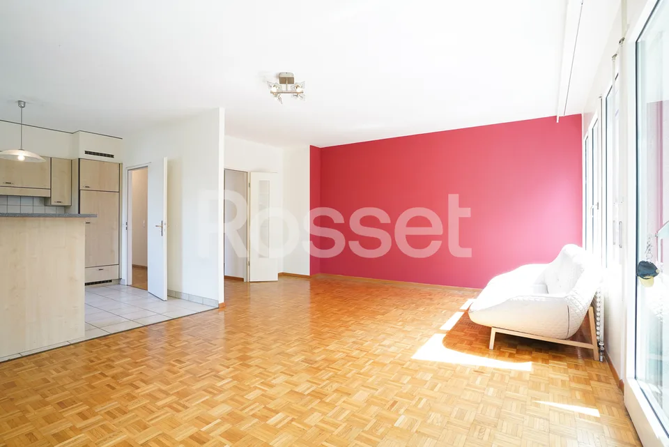 In Esclusiva: Appartamento 4 locali con terrazza a Carouge