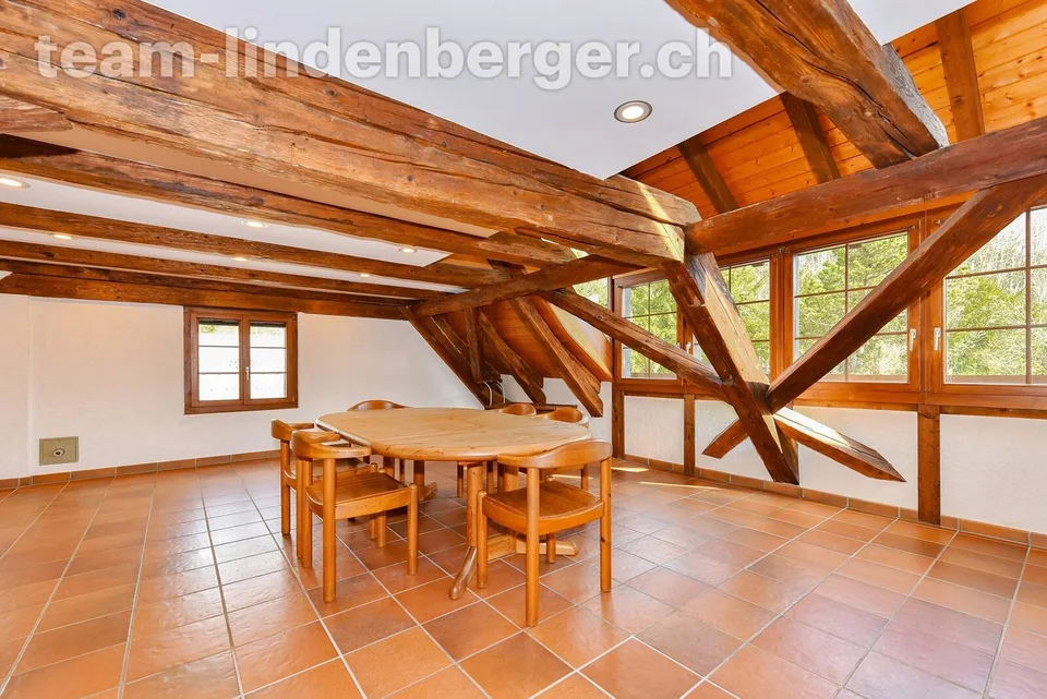 Bijou - Grosszügige Dachwohnung im alten Gebälk