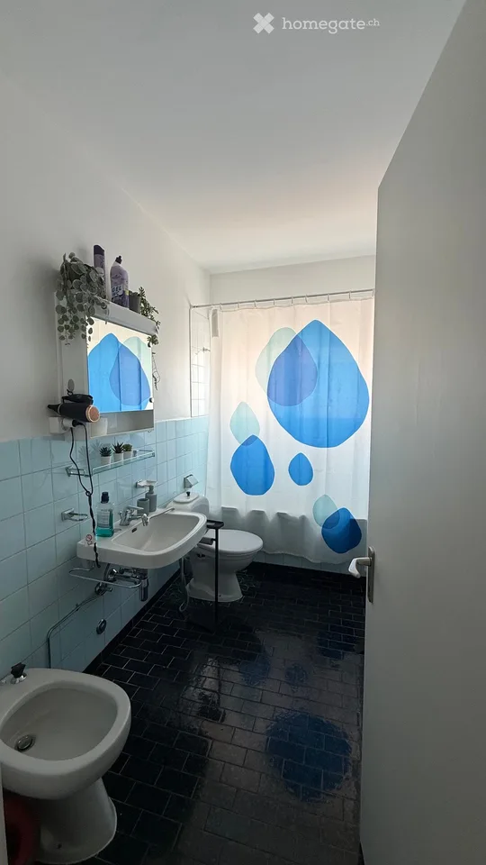 Ich suche einen Nachmieter 2.5 Lugano Molino Nuovo