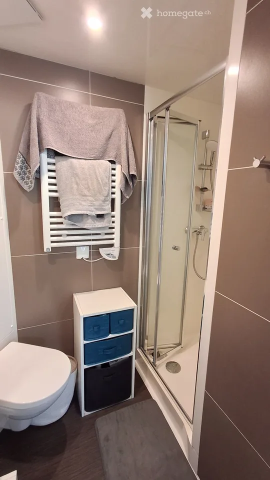 Wiederaufnahme hübsches Studio 22,2m² Rue de la Maladière, Neuchâtel