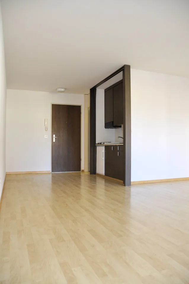 1-Zimmer-Wohnung im Breitenrain