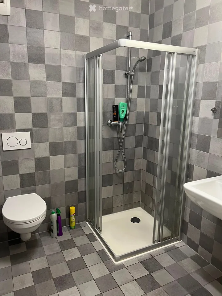 Dachgeschosswohnung mit Terrasse (62 m²) Renens 1. Oktober