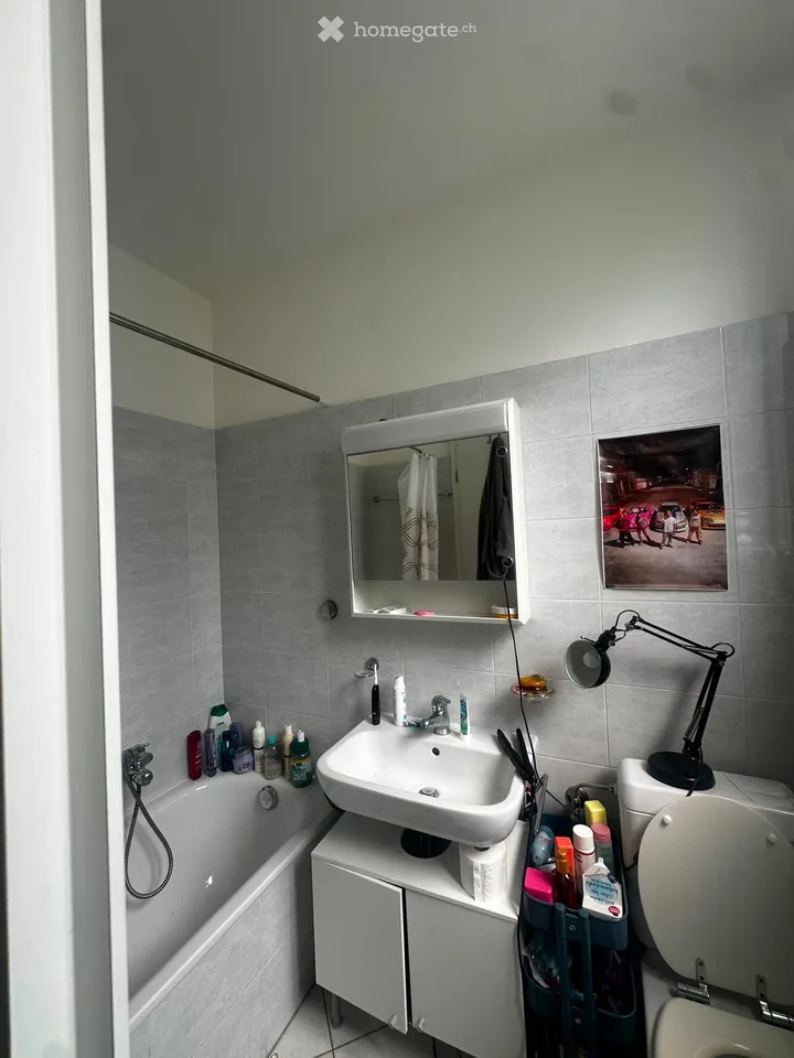 Helles 2.5-Zimmer-Apartment im Zentrum von Lugano