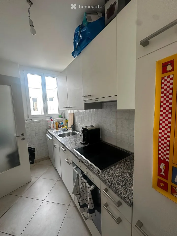 Helles 2.5-Zimmer-Apartment im Zentrum von Lugano