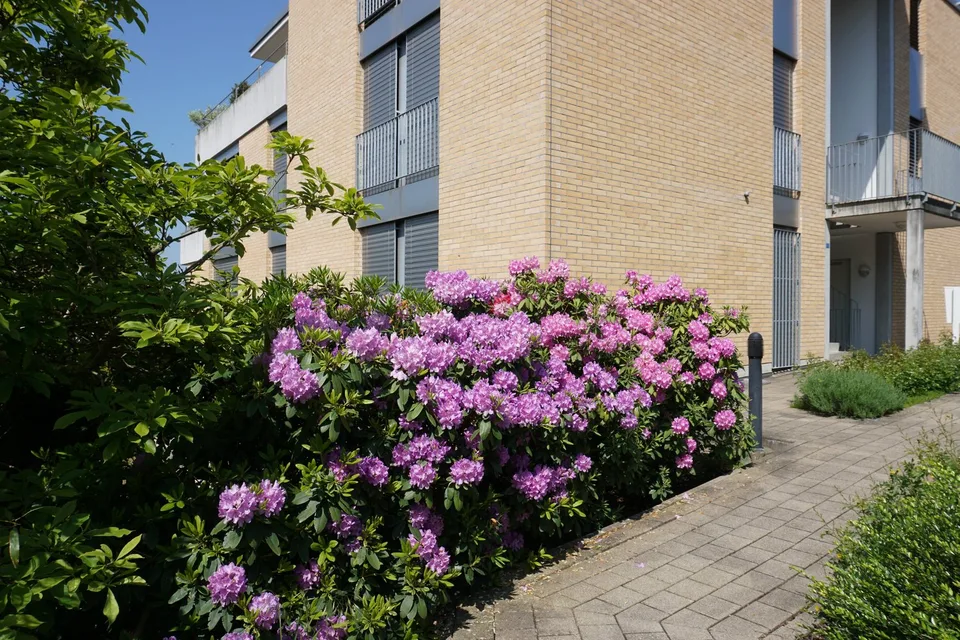 Appartamento in giardino in una zona residenziale elevata e tranquilla