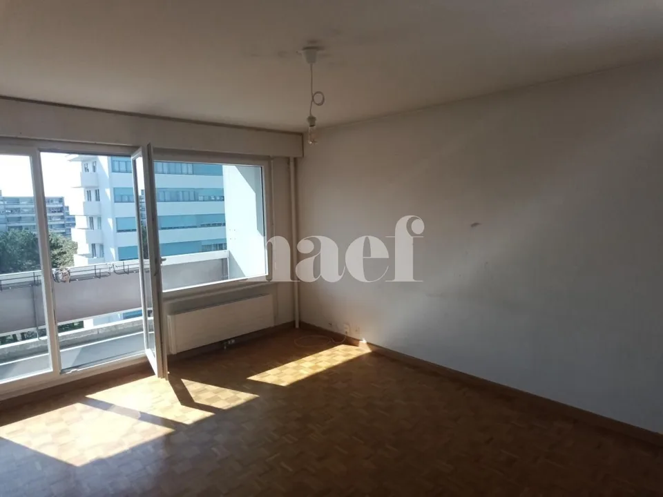 Large apartment with two balconies!
