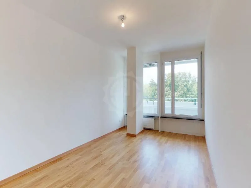 Beautiful apartment - Geneva
