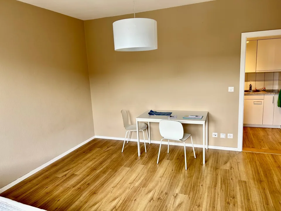 Charmant appartement 1 pièce avec jardin partagé sur Rosenweg