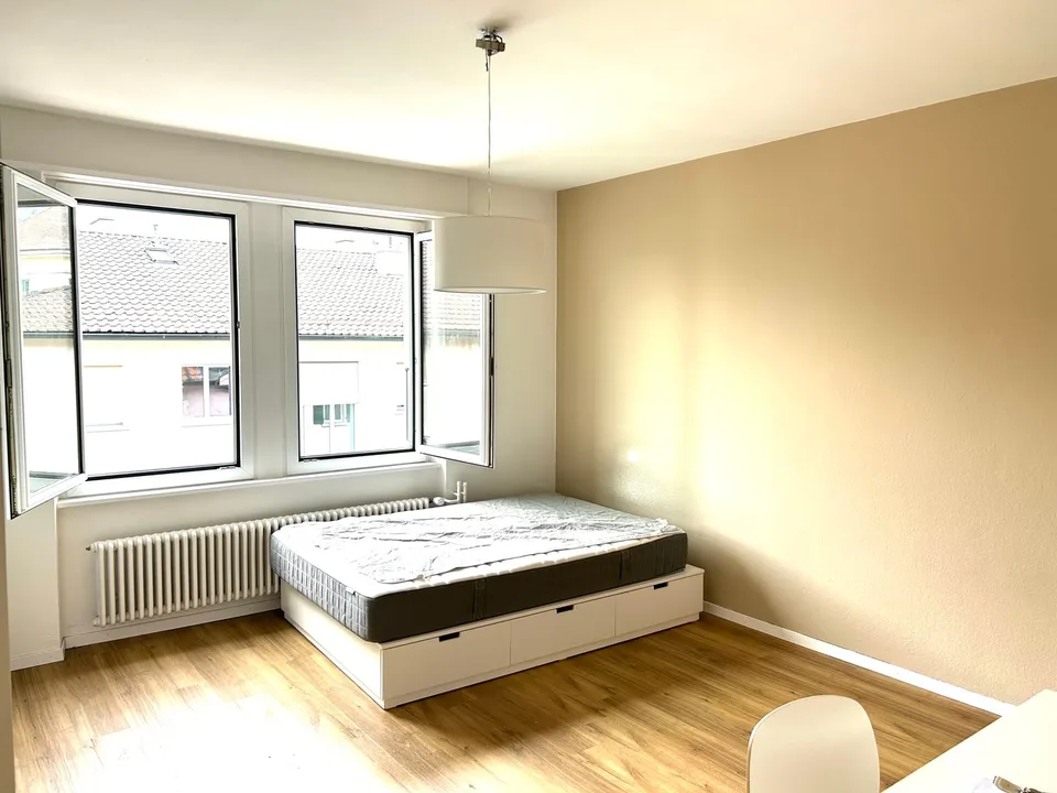 Charmant appartement 1 pièce avec jardin partagé sur Rosenweg