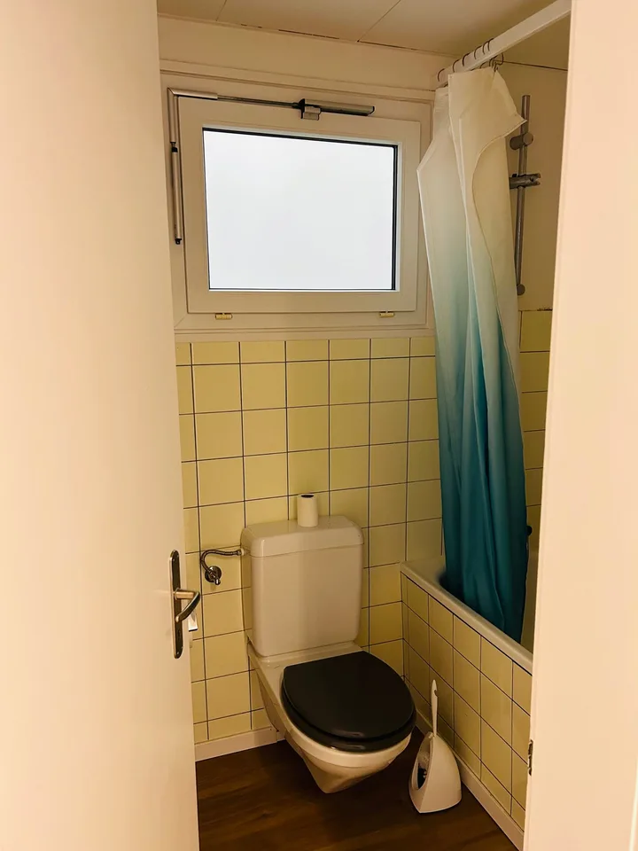 Charmant appartement 1 pièce avec jardin partagé sur Rosenweg