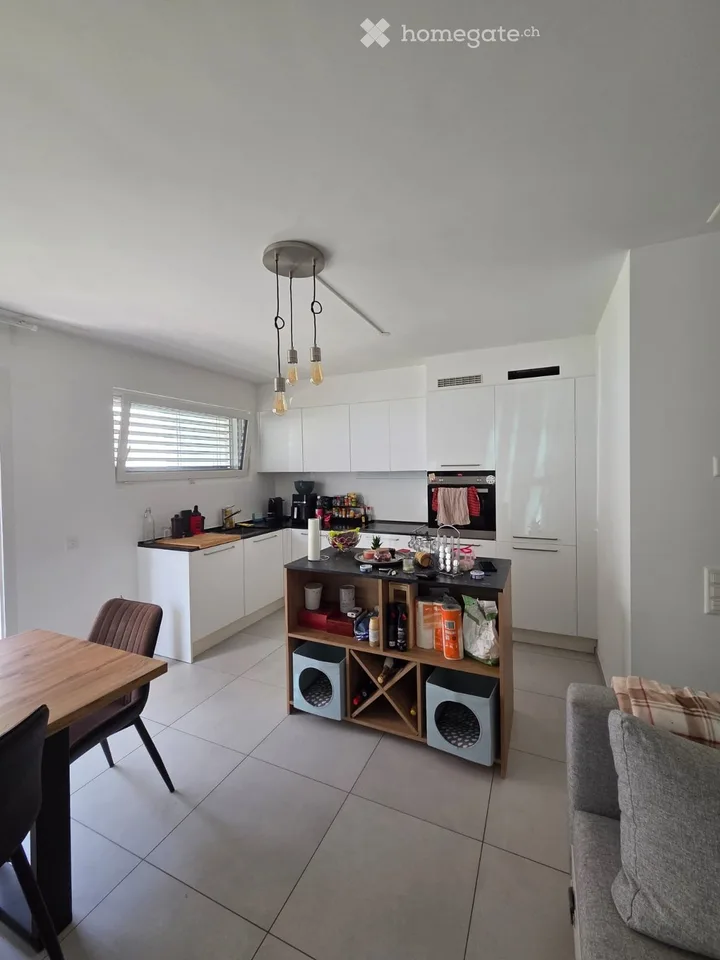 I'm looking for a sublessee for a 2.5-room apartment in Rivera.