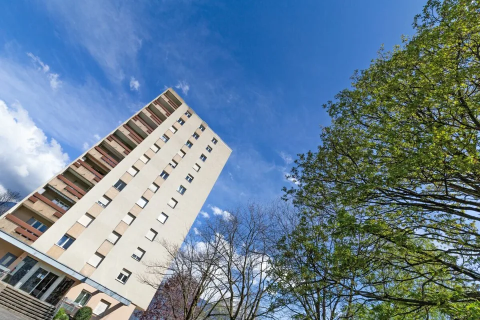 Dachgeschoss mit 2,5 Zimmern renoviert und sofort verfügbar! – Foto 13 von 13
