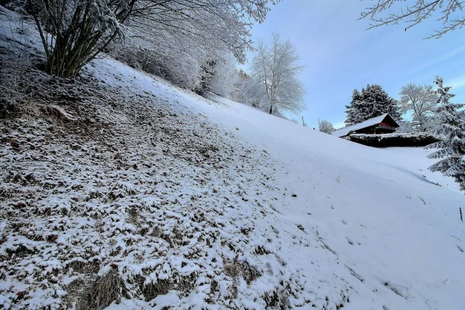 Terrain - Parcelles 1246 - 1247 copie