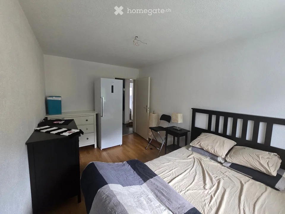 Helle 4.5-Zimmer-Wohnung mit Bergblick und Balkon in Bürglen UR