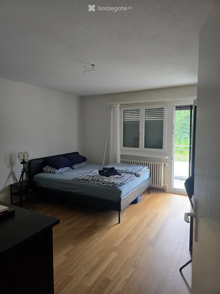 Helle 4.5-Zimmer-Wohnung mit Bergblick und Balkon in Bürglen UR