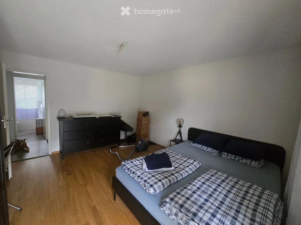 Helle 4.5-Zimmer-Wohnung mit Bergblick und Balkon in Bürglen UR