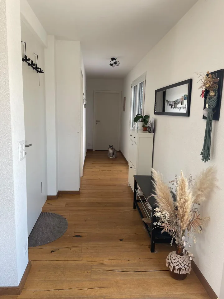 Magnifique appartement spacieux et lumineux à louer à Avenches