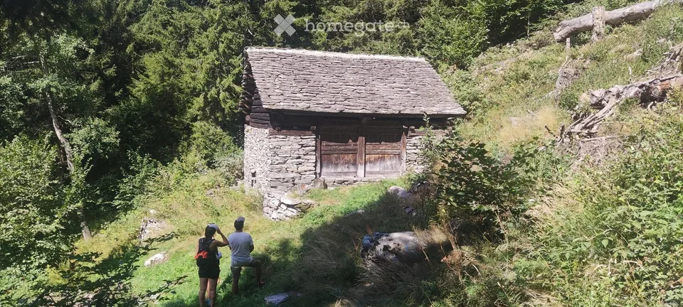 Charming Rustic Cabin for Sale in Dangio, Ticino