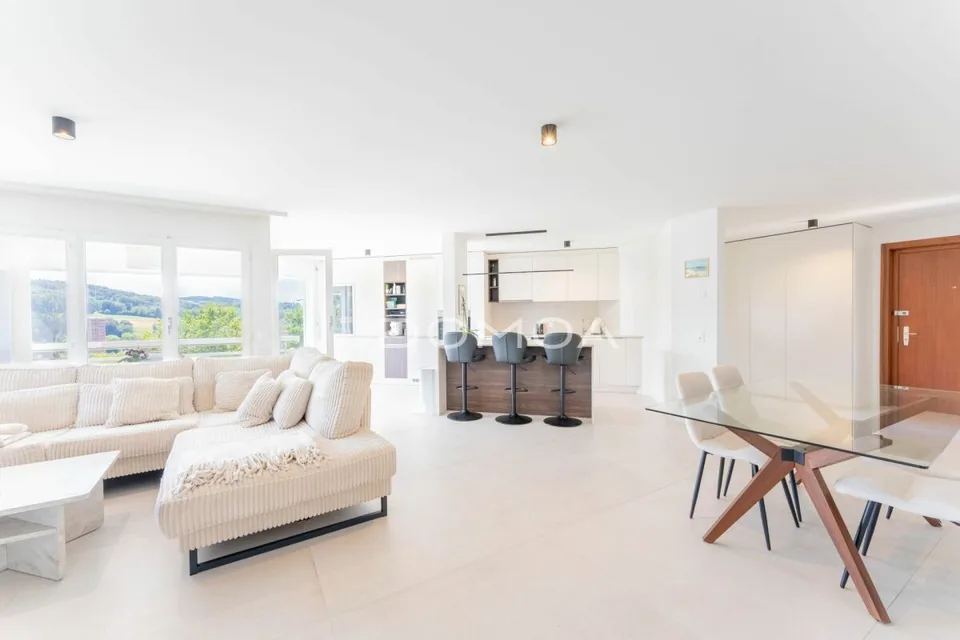 Mansarda 4,5 locali ristrutturata con grande terrazza - Luminosità, fascino e comfort!