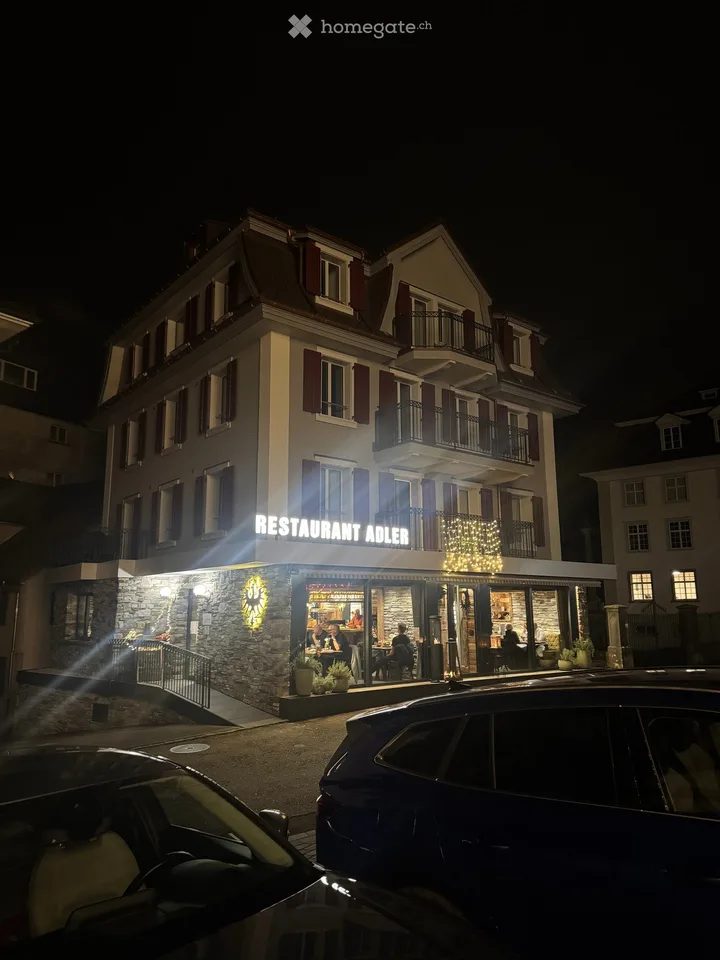Charming 3.5-Room Apartment with Lake Views in Gersau