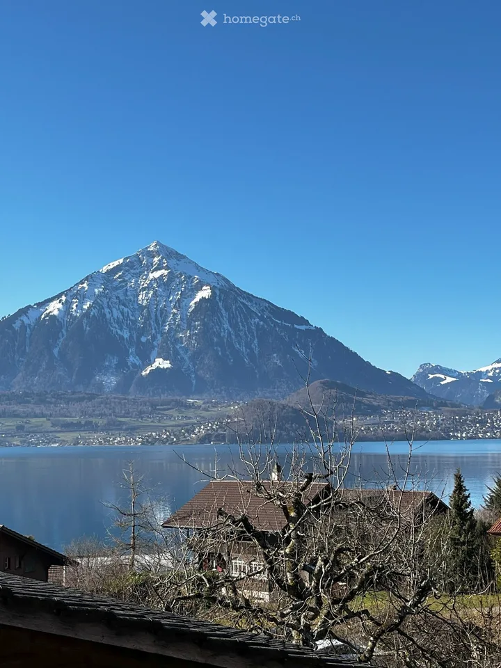 Gemütliche Dachwohnung, Sicht auf Thunersee und Berner Alpen