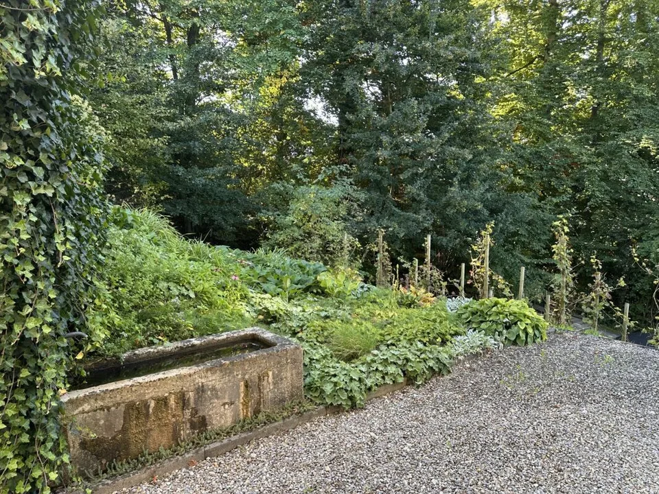 Maison individuelle 5.5 pièces pour les amoureux d'architecture