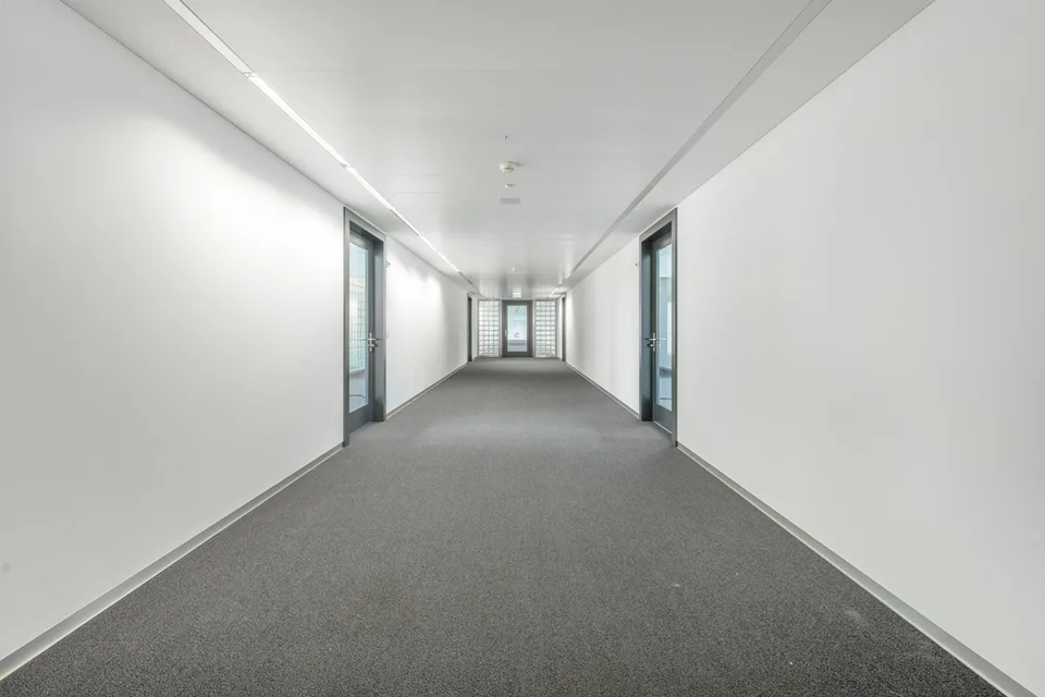 Petites surfaces fraîchement aménagées - idéales pour les start-ups