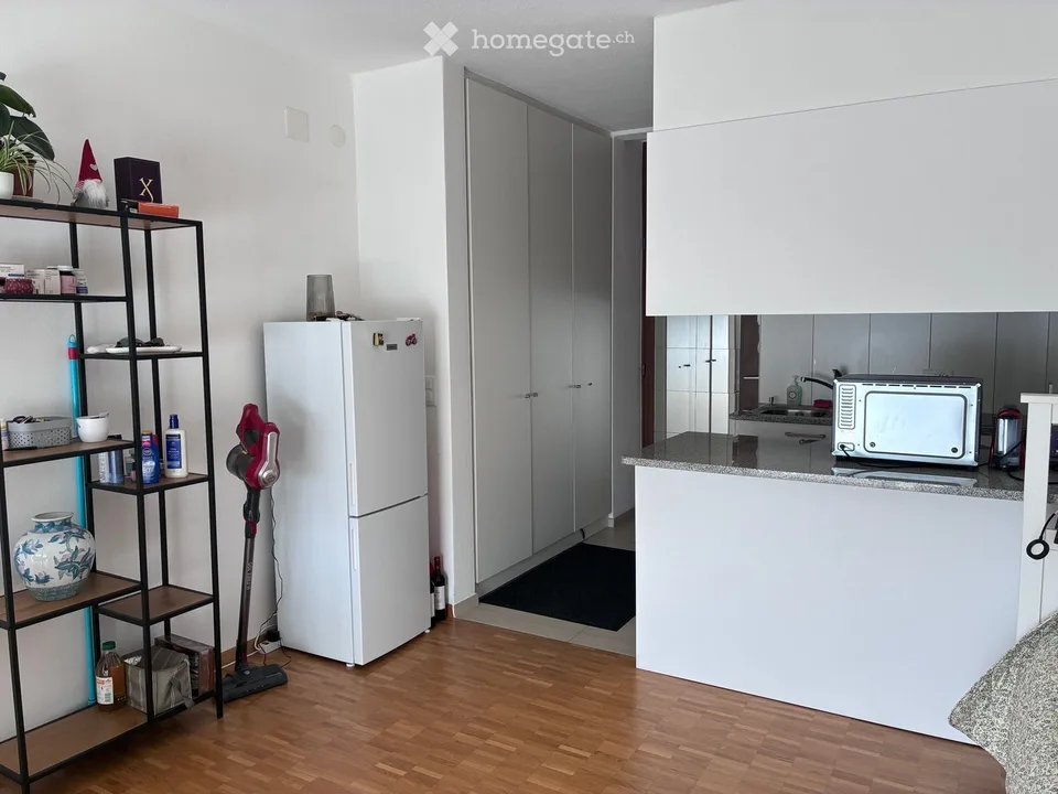 Apartment in Locarno